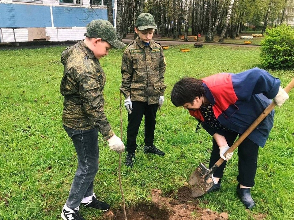 Ученики Кубинской средней школы № 1 высадили новые саженцы деревьев