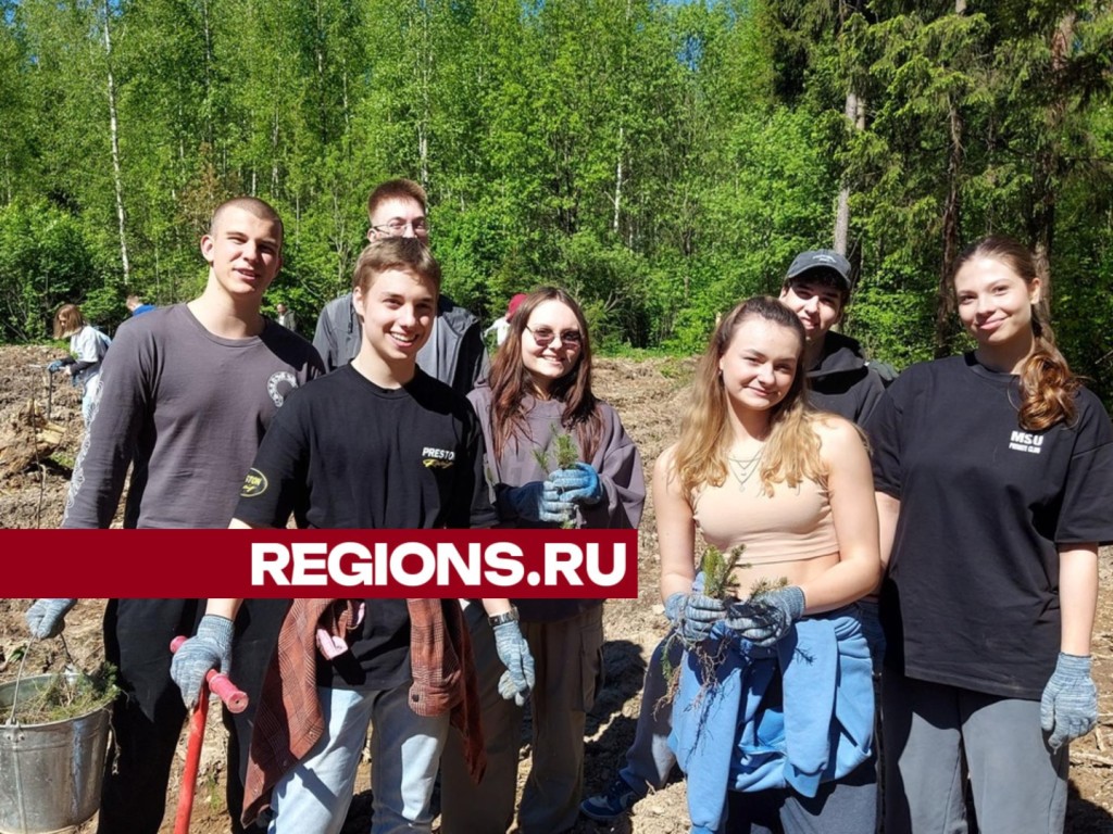 Жители и гости Истры посадили в деревне Рычково ели | REGIONS.RU / Истра