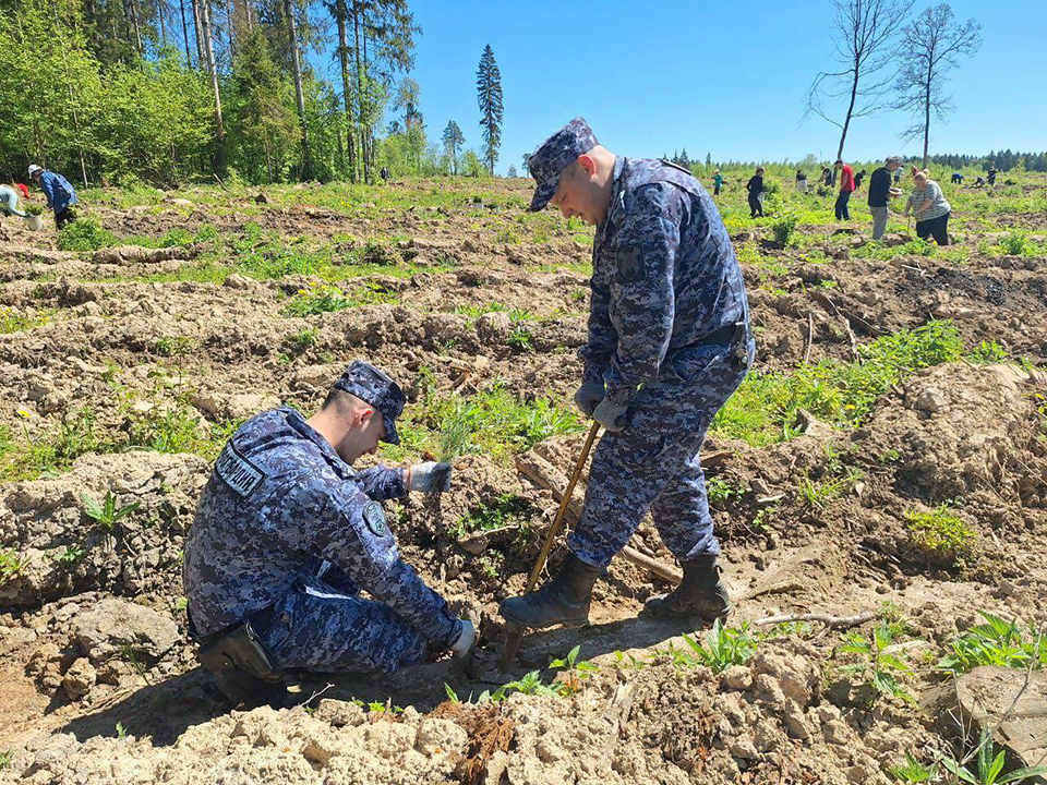 Росгвардейцы высадили полтысячи деревьев в Звенигороде