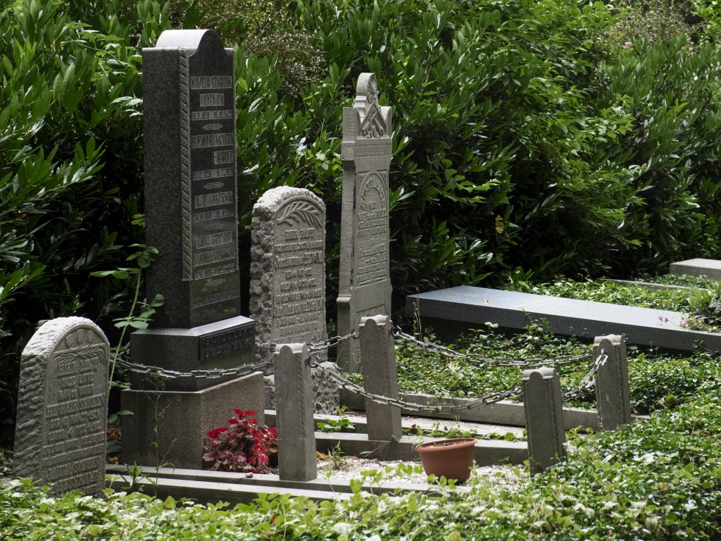 Вандалы осквернили более 50 могил в Дмитровском округе