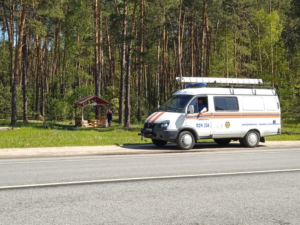 Ступинские спасатели организовали патрулирование в период особого  противопожарного режима | REGIONS.RU / Ступино