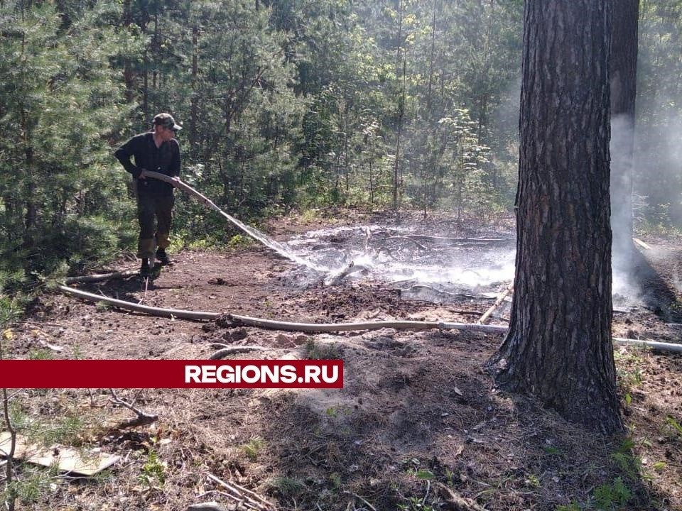 Лесной пожар ликвидировали в городском округе Луховицы