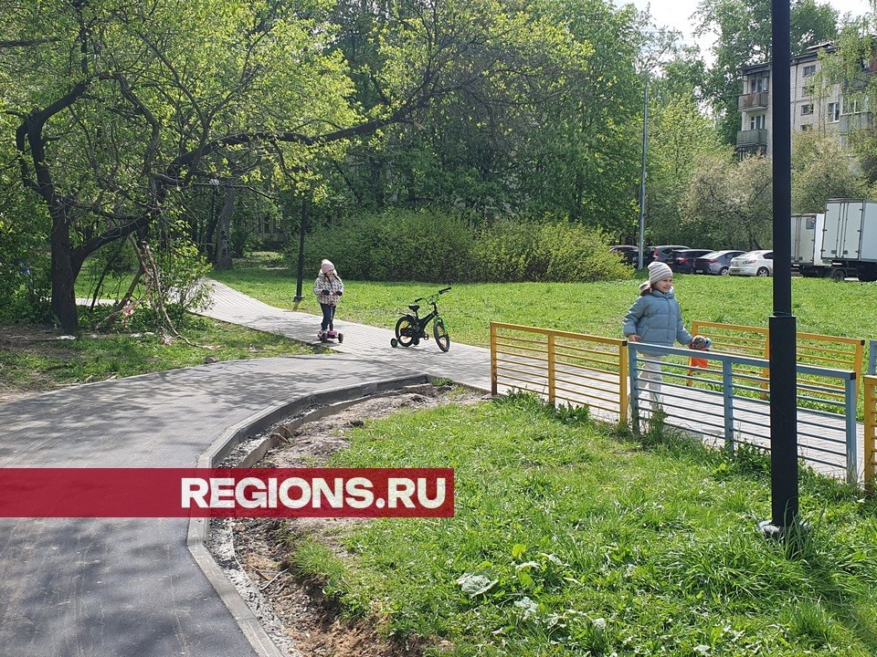 Смогут проехать даже мамы с колясками: в округе обустраивают «народные тропы»