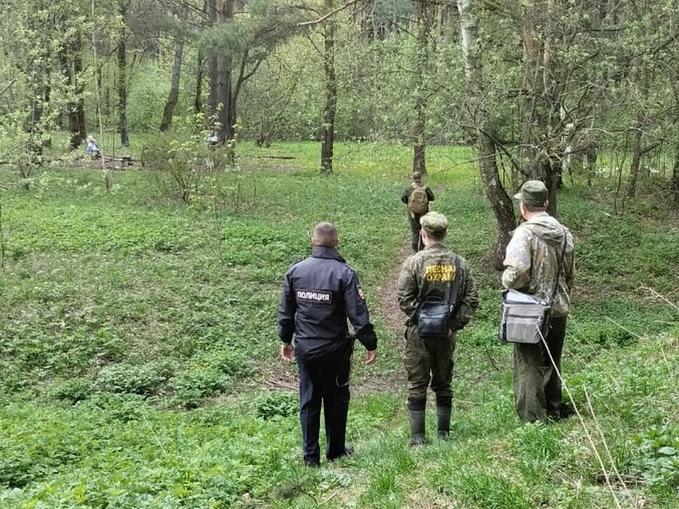 Более десяти нарушений правил пожарной безопасности пресекли в подольских лесах