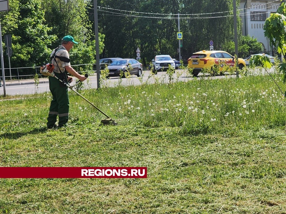 В Долгопрудном привели в порядок территорию рядом со стелой