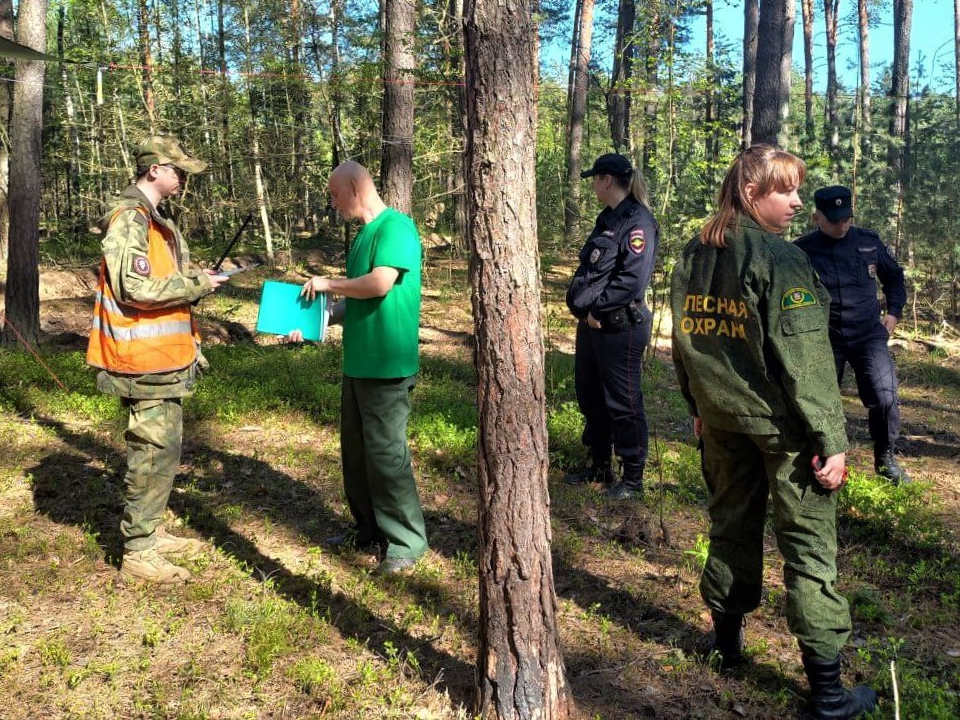 Лесная охрана выписала 98 административных протоколов за неделю