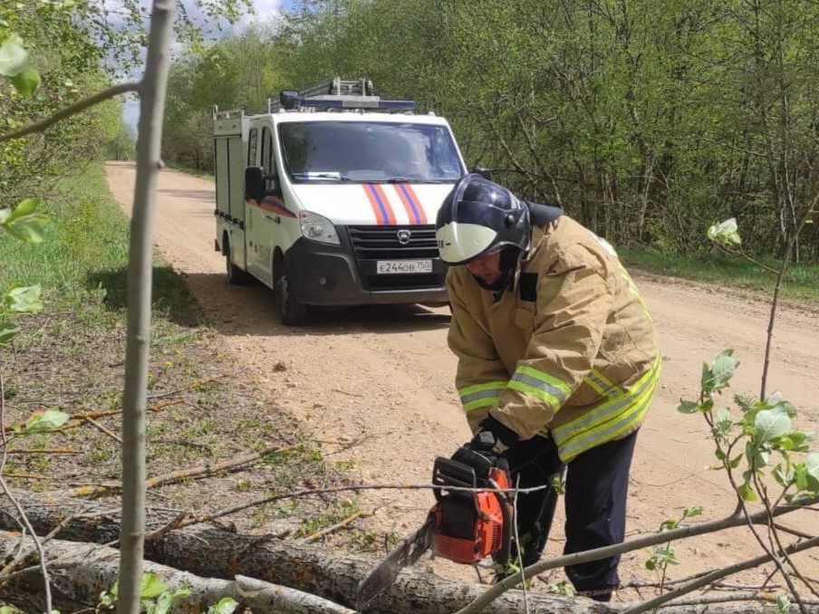Спасатели убрали с дороги дерево, которое преградило проезд жителям деревни Кузяево