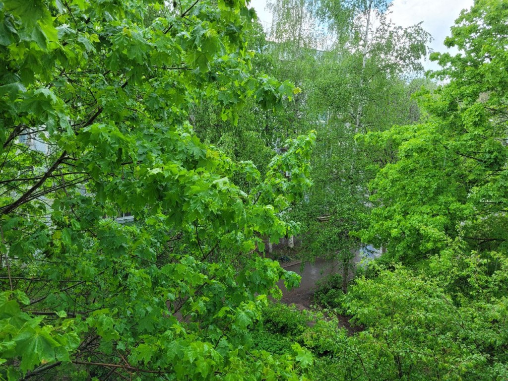 Дождь с грозой ожидается в Подольске