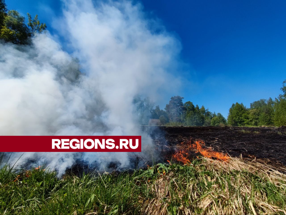 В Сергиевом Посаде появились серийные поджигатели