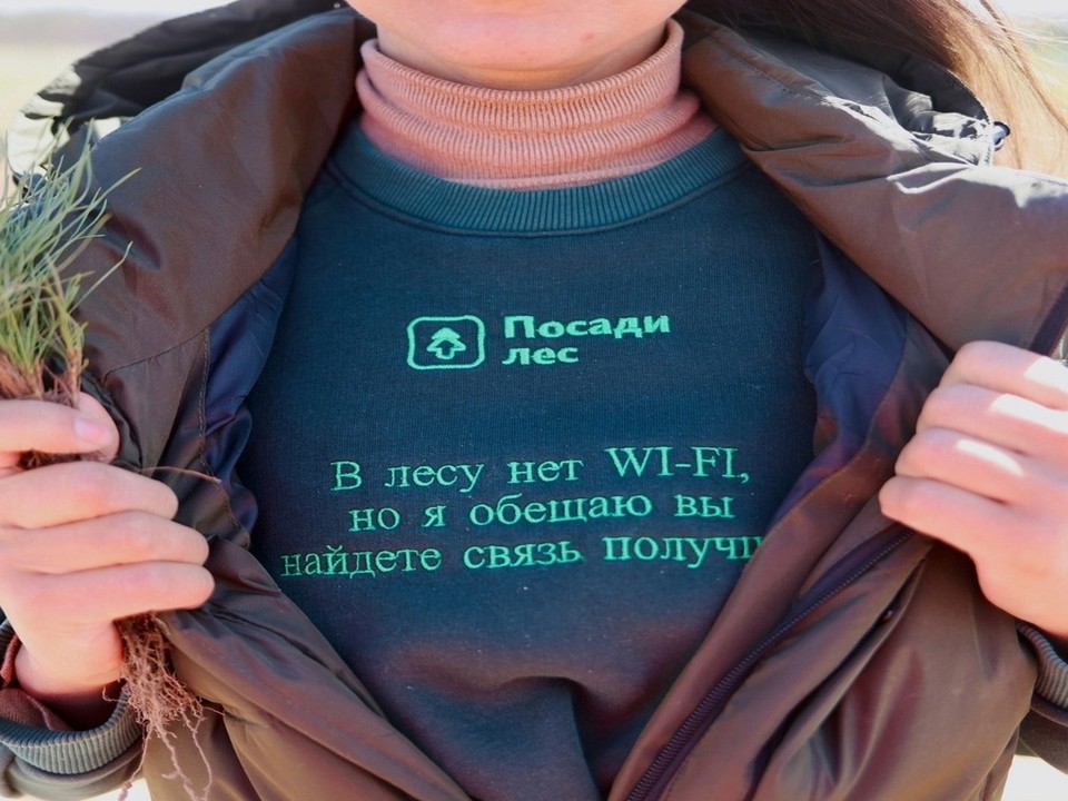 Новый сосновый бор вырастет в окрестностях Звенигорода после акции «Посади лес»