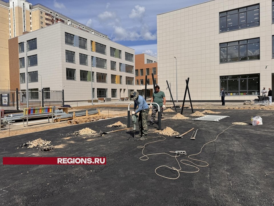 Строительство новой школы на 550 мест в селе Немчиновка закончено почти на 90 процентов