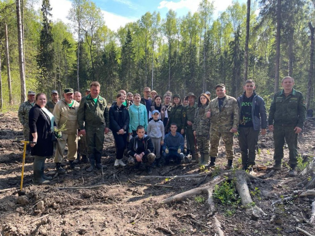 Порядка тысячи молодых деревьев  посадят талдомчане во время акции «Лес будущего»