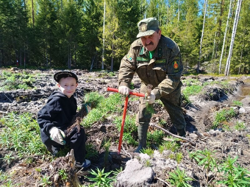 Школьники из поселка Чисмен присоединились к областной акции «Лес будущего»