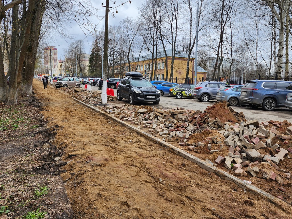 Утраченные из-за расширения дороги в Пушкино деревья компенсируют новыми |  REGIONS.RU / Пушкино