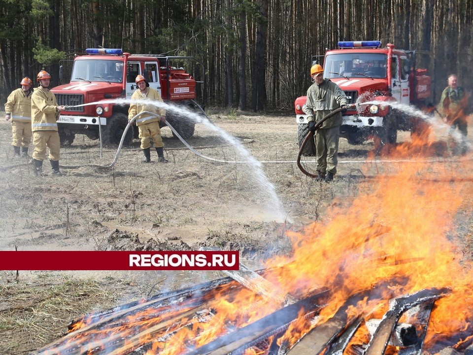 Высокий класс пожарной опасности введен на территории лесов в городском округе Луховицы