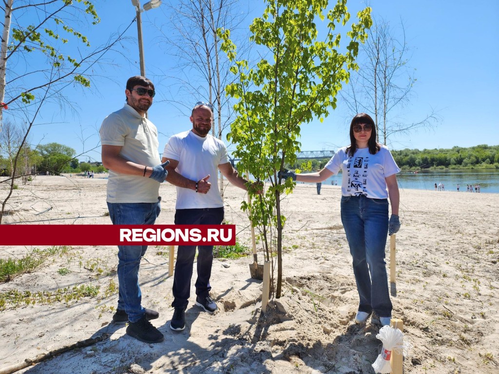 Вместе с министром, артистами и блогерами с пляжа в Серпухове убрали четыре тонны мусора