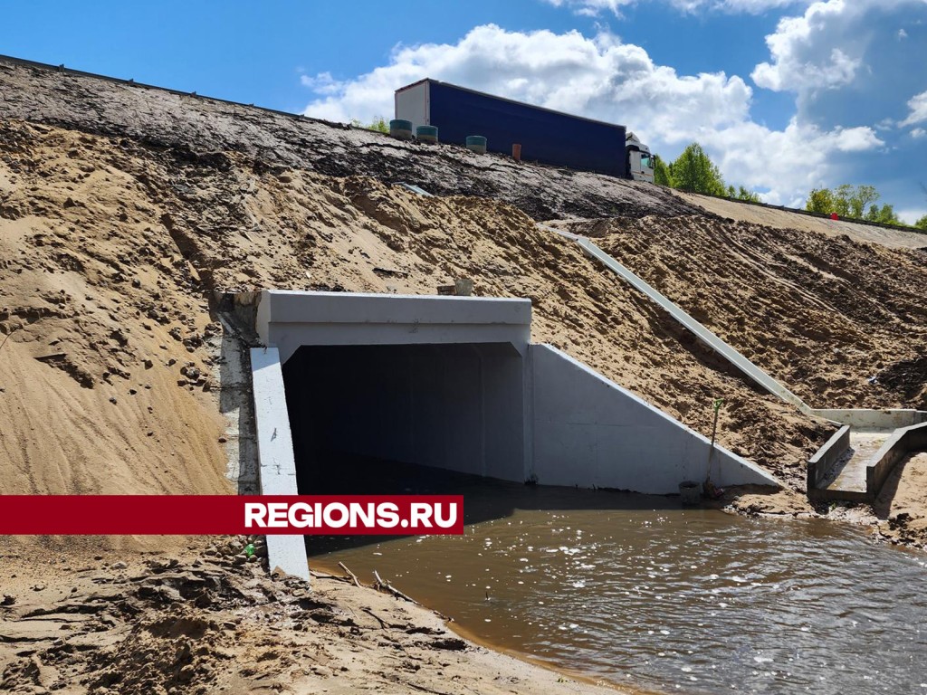 Видео | REGIONS.RU / Ступино