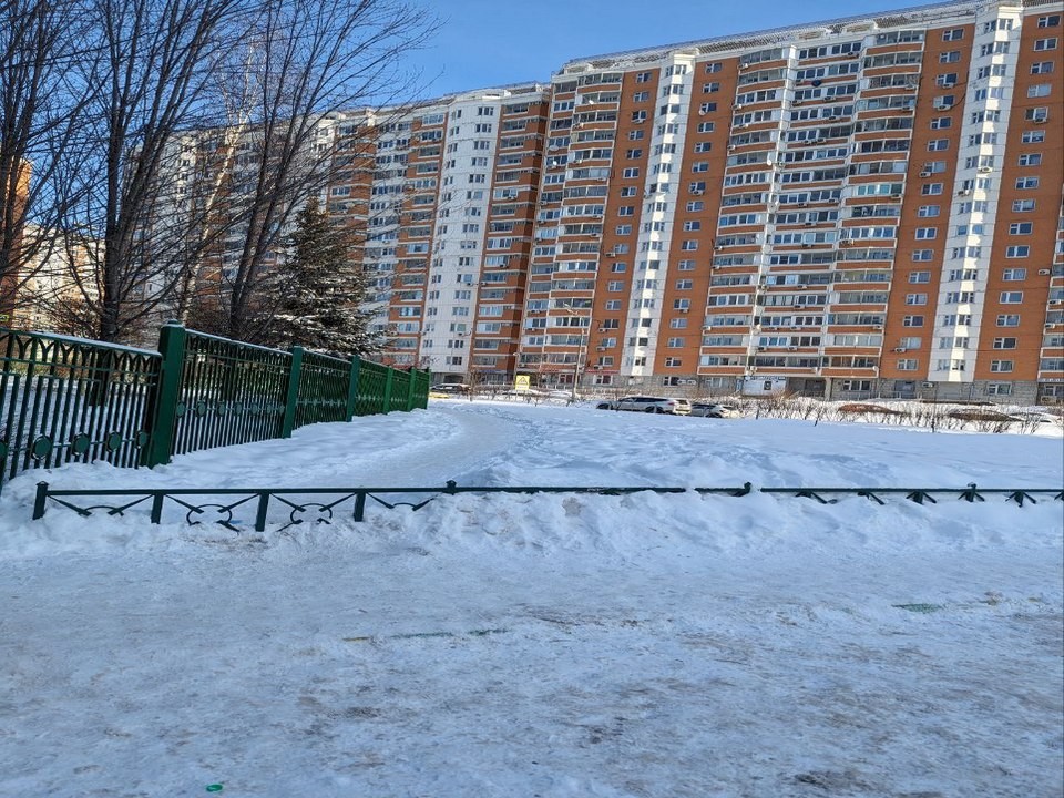 Одинцовцы попросили благоустроить «народную тропу» у лингвистической гимназии