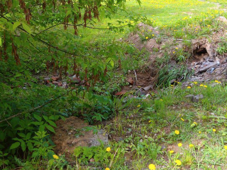 «Тревожный звоночек»: слив нечистот в Нару удалось прекратить благодаря жителям