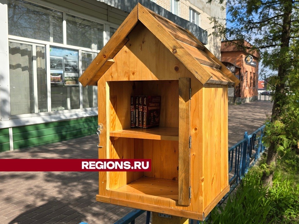 Вандал разгромил книжный домик у центральной библиотеки в городе Луховицы