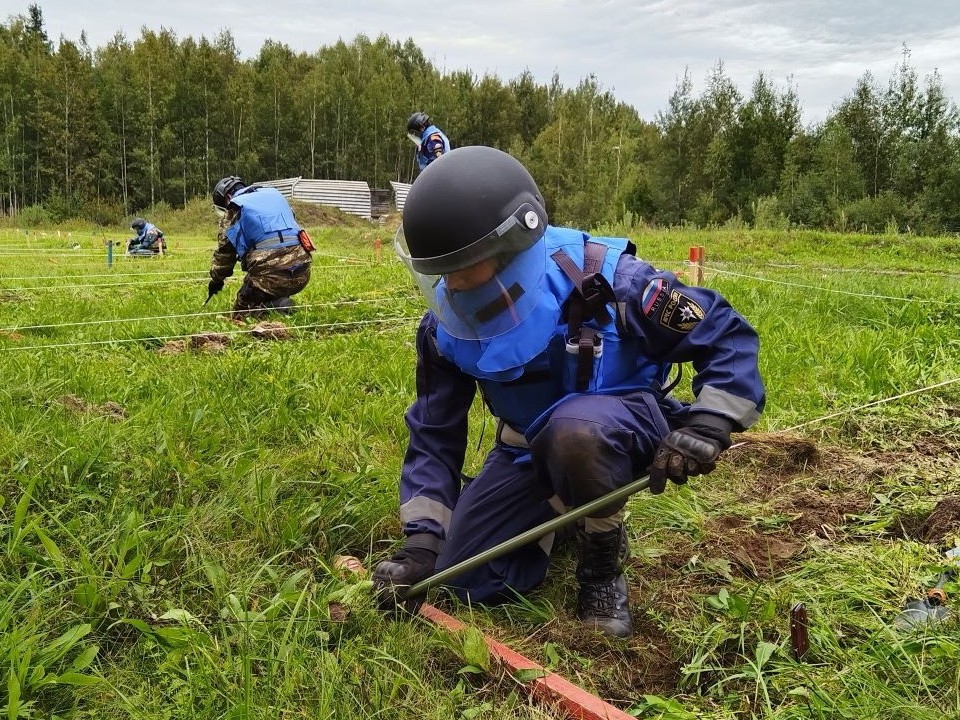 Разминирование местности провели саперы под Ногинском