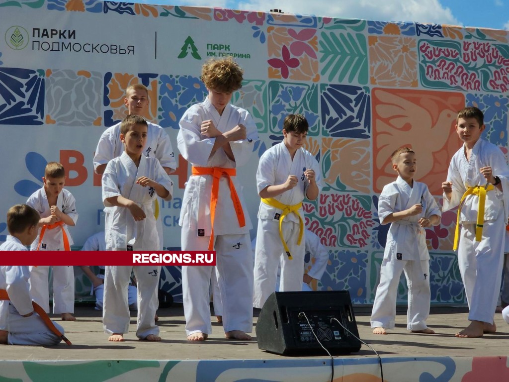 Посетителям шатурского парка показали, как голыми руками ломать кирпичи