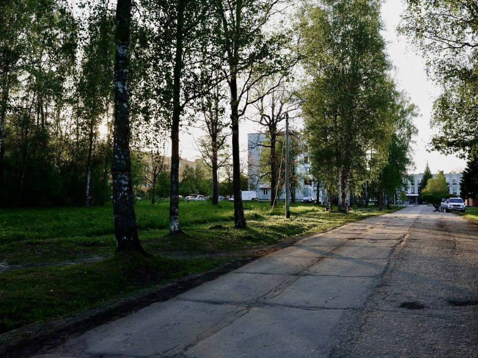 Освещение и ремонт дороги выполнят в Солодовке по обращениям жителей