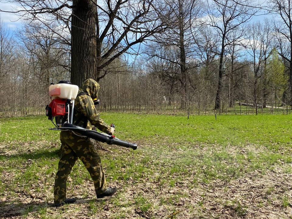 Во фрязинском лесопарке провели первый этап работ по уничтожению клещей