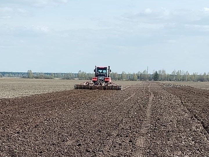 В Большой Шатуре посеют более 15 тысяч га яровых культур