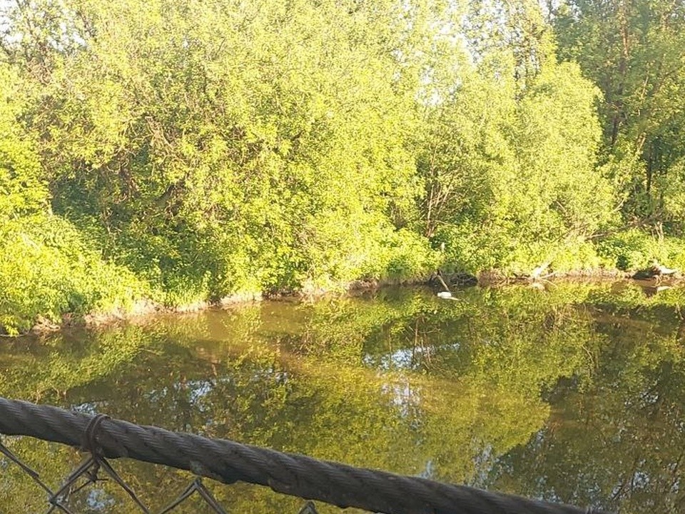 Воду в реке Пахра взяли на исследование после обращения жителей