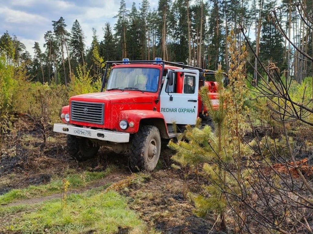 Лесной пожар потушили возле города Ступино | REGIONS.RU / Ступино