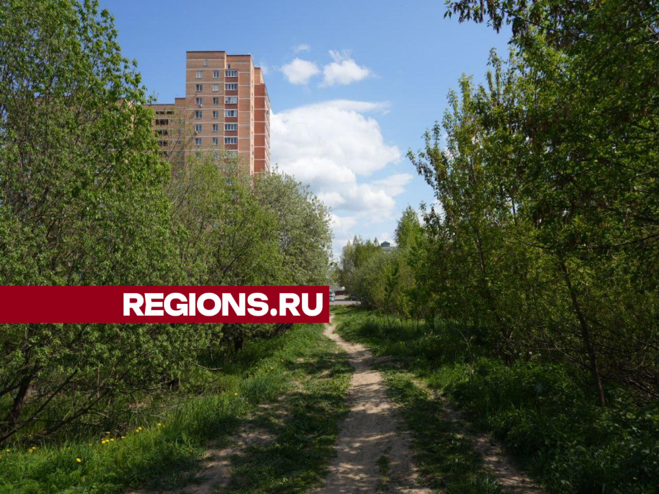 На Северном сделают тихий экологичный парк