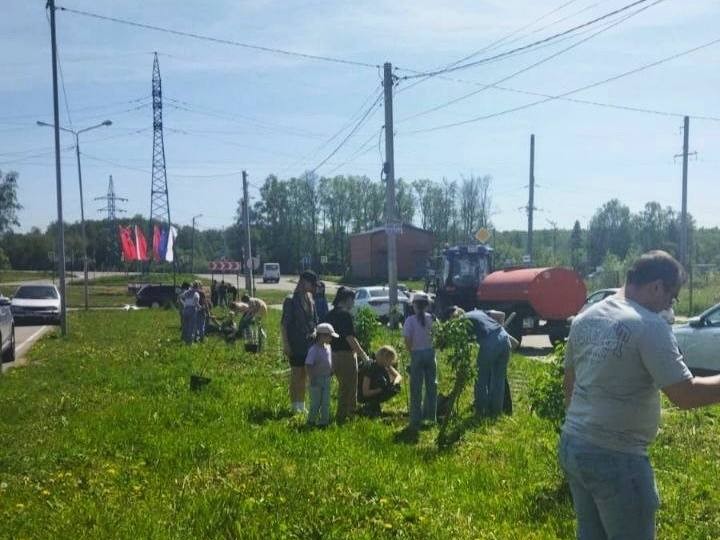 На бульваре в Истре в этом году снова зацветет сирень