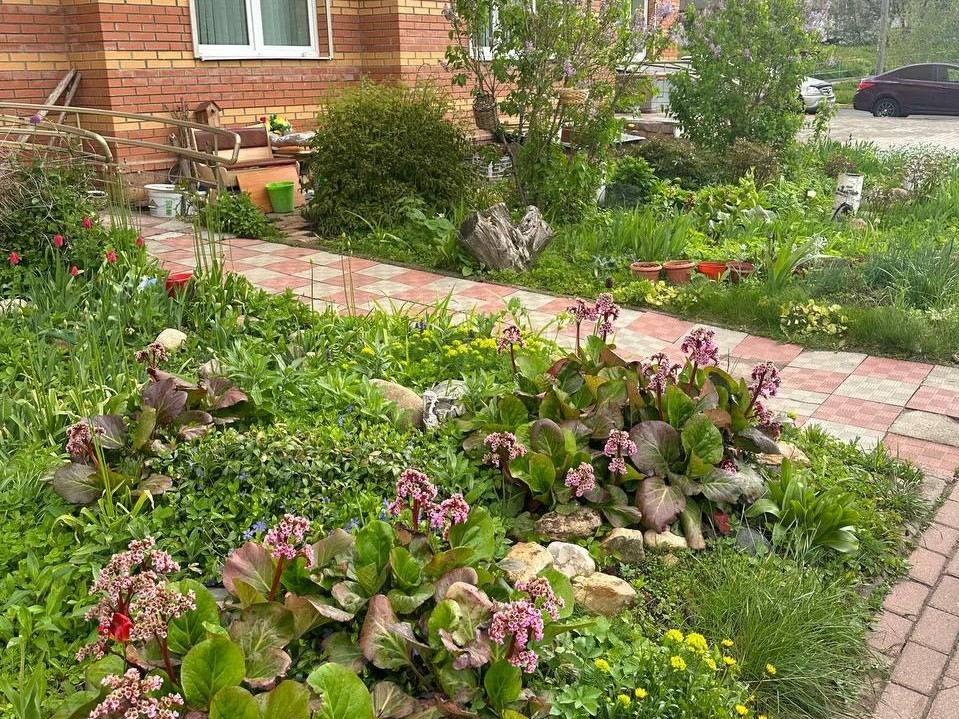 В Лобне проведут конкурс на самый уютный двор