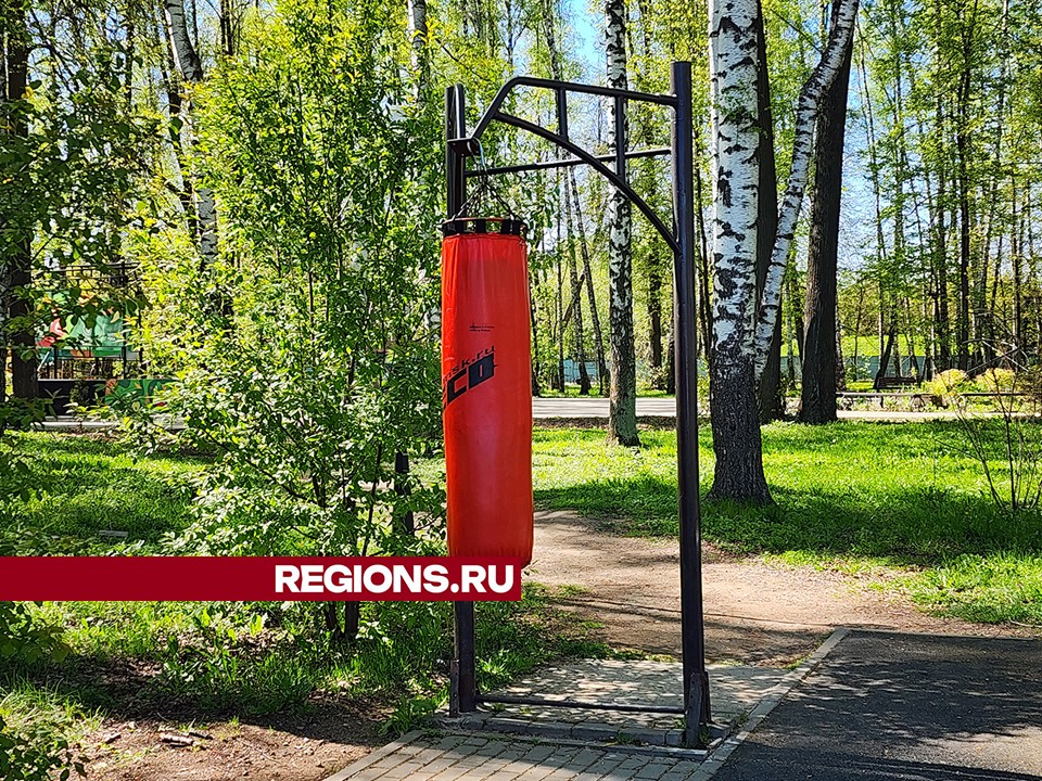 Новый спортивный инвентарь завезли в парк «Березовая роща» в Пушкино