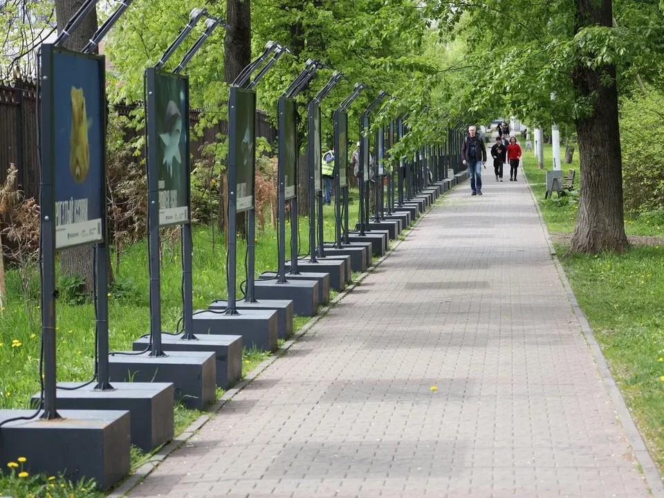 Порядка 60 тысяч горожан еженедельно посещают центральный парк в Мытищах