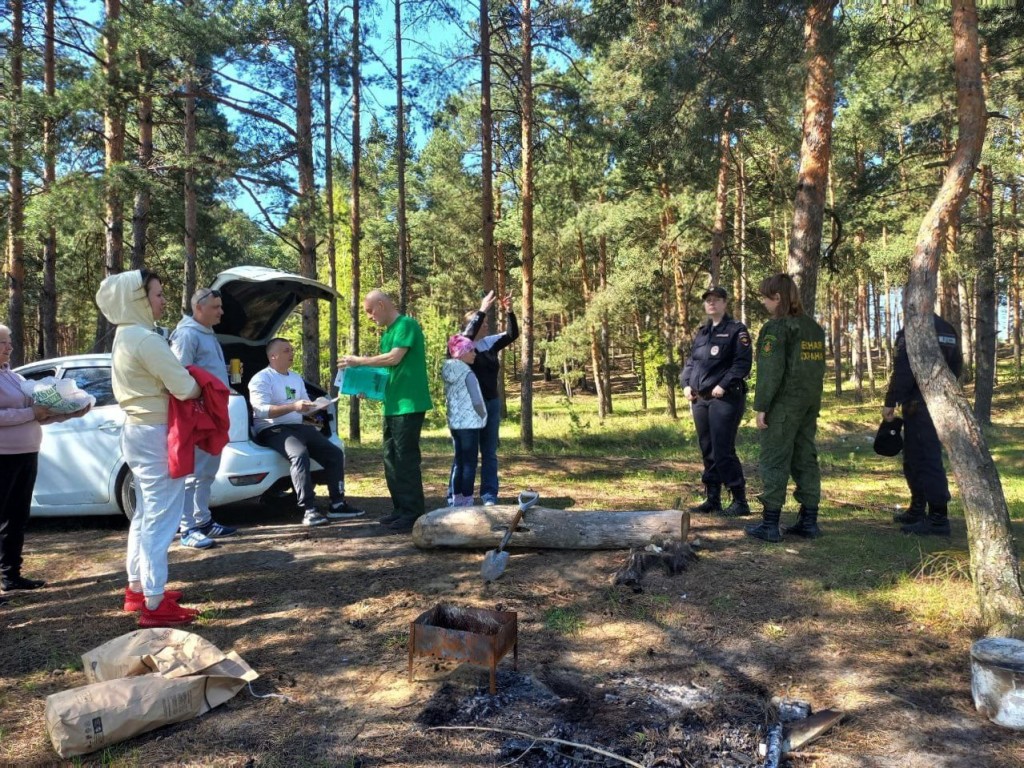 За костер на природе в звенигородском лесу оштрафовали пять человек