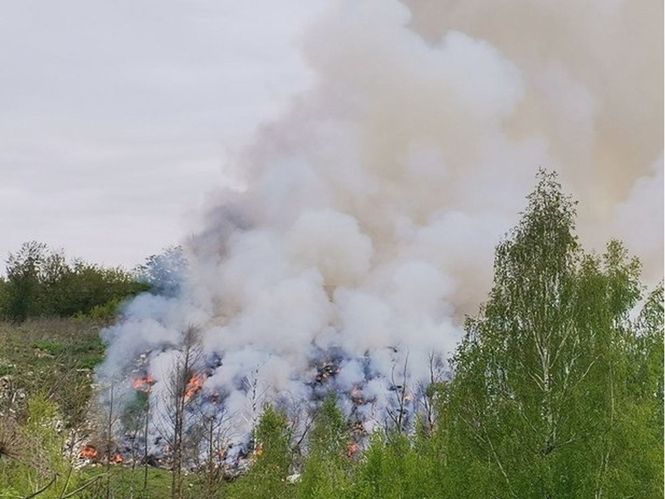 В Тимонино горит несанкционированная свалка