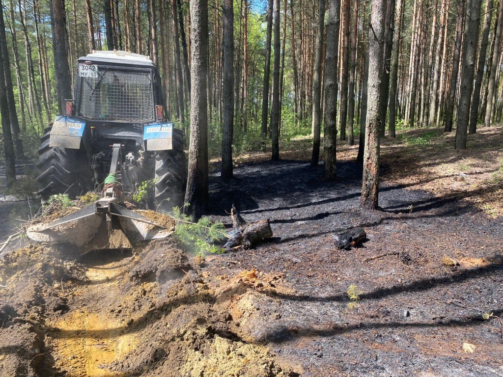 Спасатели потушили лесной пожар вблизи деревни Шильково