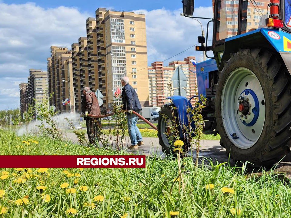 Рассказываем, как ухаживают за молодыми деревьями в поселке Свердловский