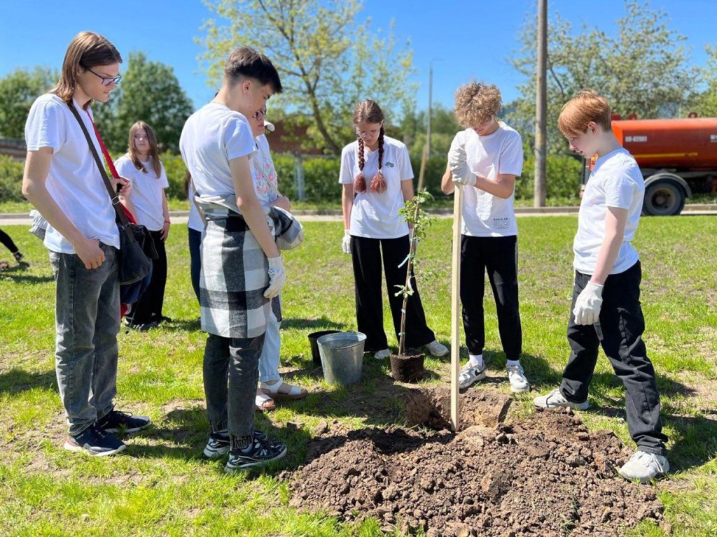 Саженцы яблони из Ивантеевского питомника высадили в родном городе селекционера Исаева