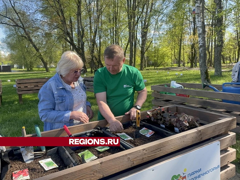 Жители Солнечногорска посадили овощи и цветы на общественном огороде в парке