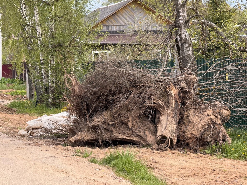 Почтовую улицу в деревне Судниково приведут в порядок по просьбе жителей