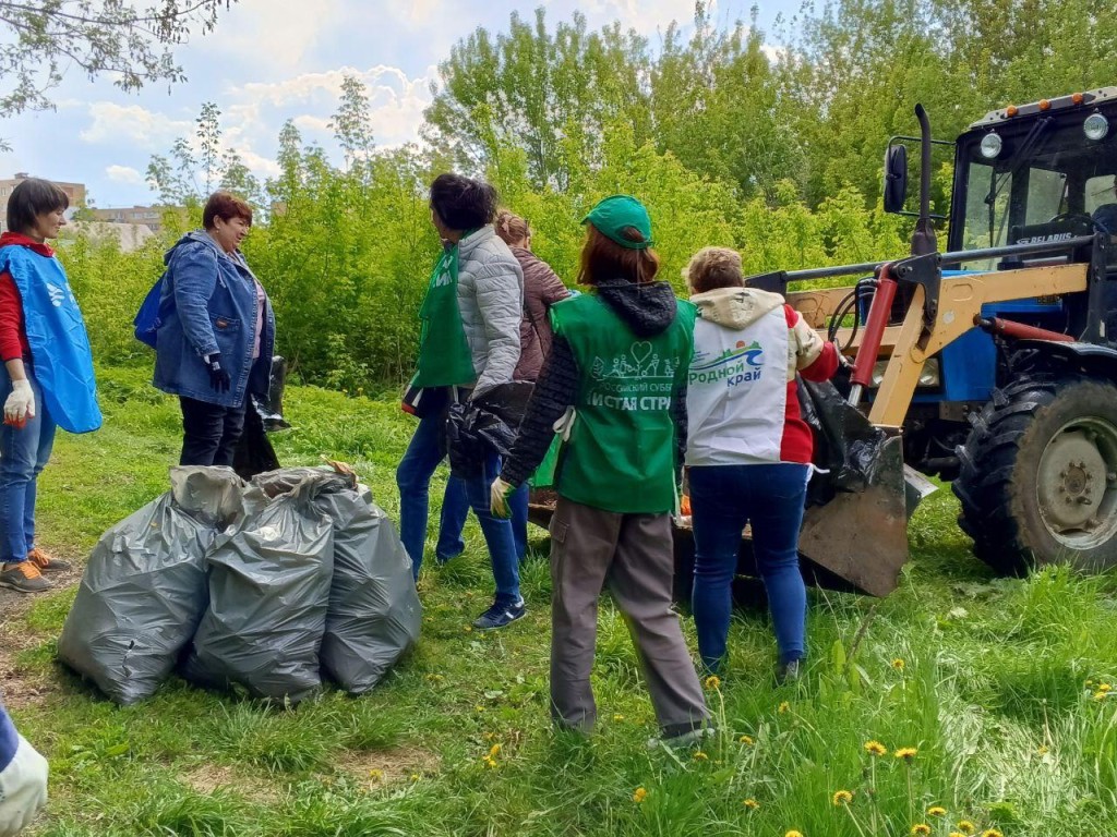 Серебрянопрудцы коллективно убрали от мусора целый километр берега реки Осетр