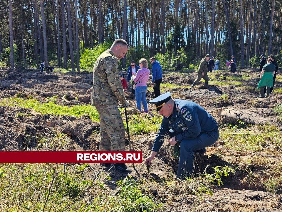 Луховичане поддержали общеобластную акцию «Лес будущего»