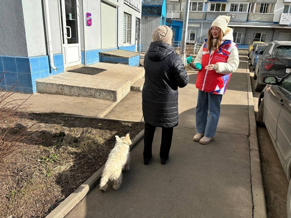 Волонтеры Лобни принимают участие в Международной премии #МЫВМЕСТЕ