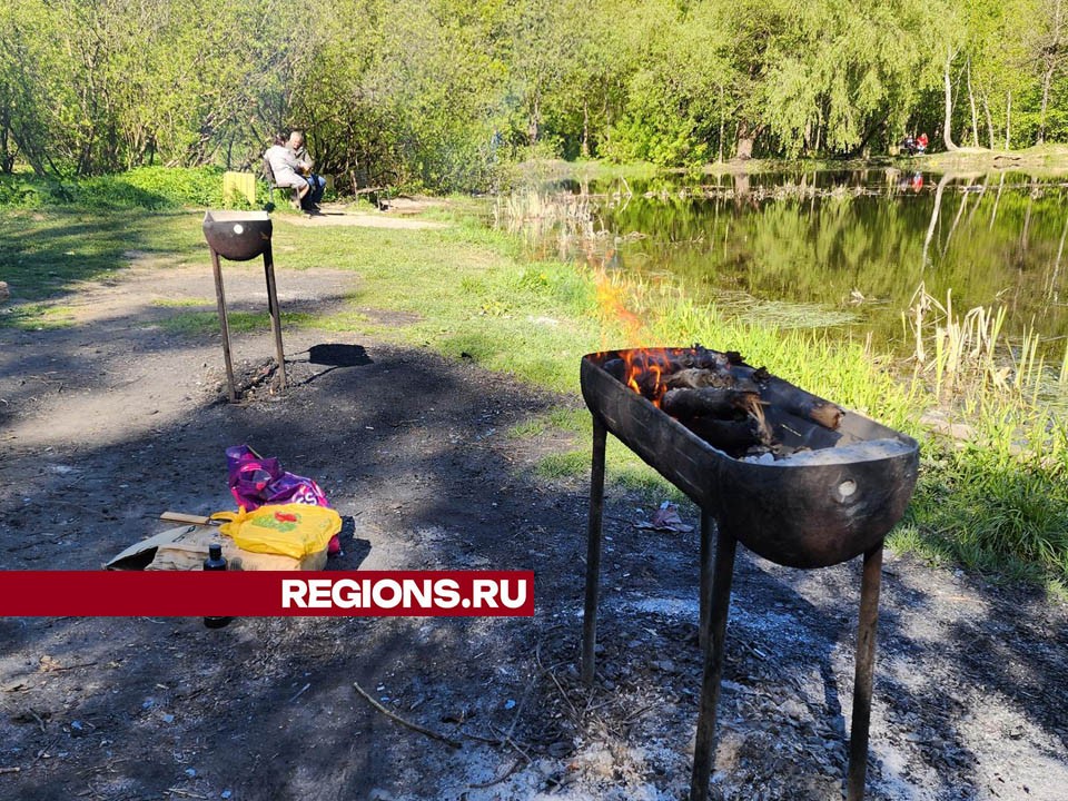 Змеиное озеро подольск