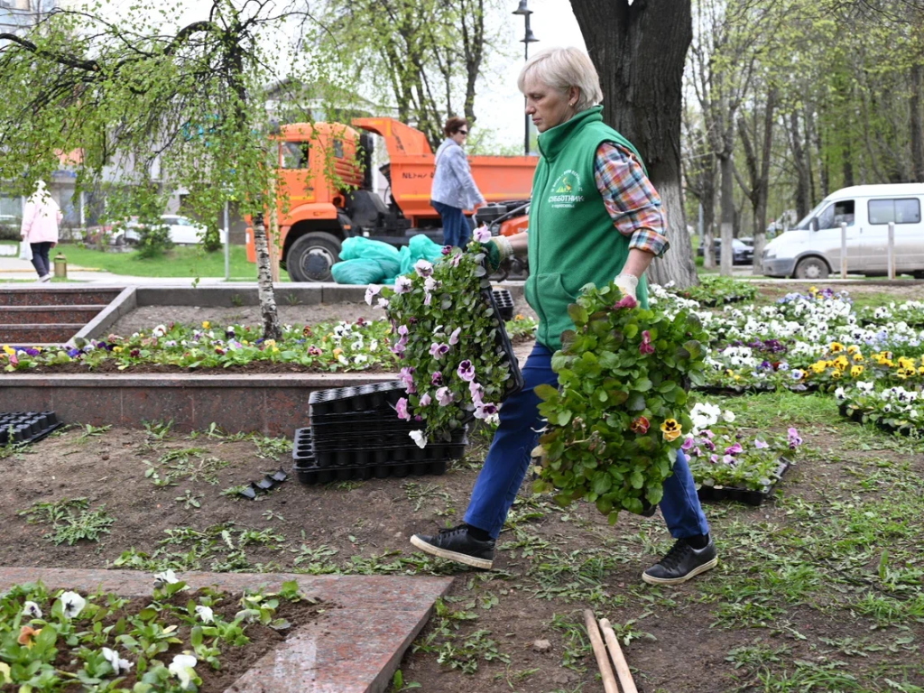 Цветочный квест: в Ленинском городском округе началась высадка виол |  REGIONS.RU / Видное