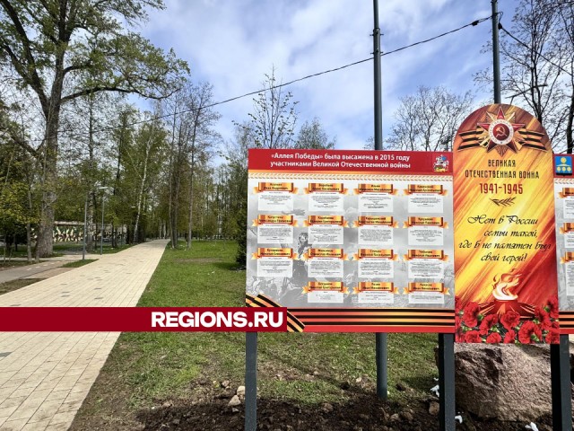 Аллею Победы официально открыли в центральном парке Солнечногорска