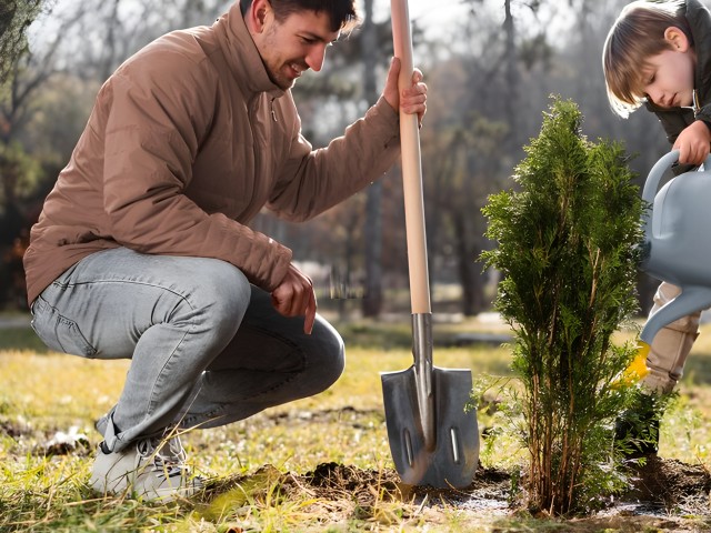 Жители Протвино могут высадить «Лес Будущего» в Серпухове